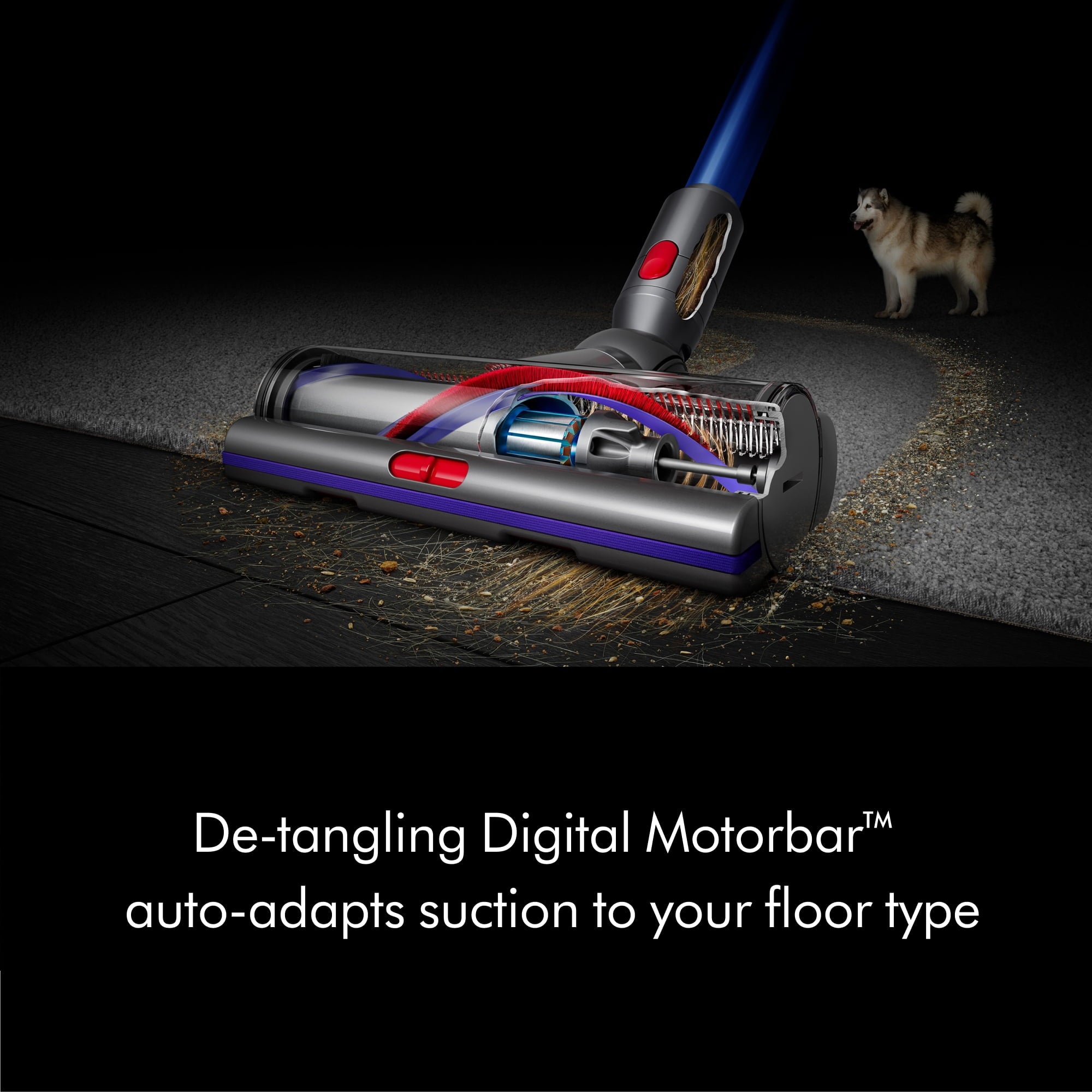 Restored Premium Dyson V11 Torque Drive+ Cordless Vacuum | Iron/Blue (Refurbished)